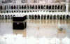 6_small5.gif