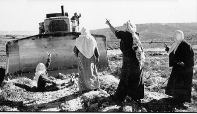 harak.jpg