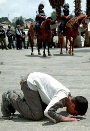 sajda.jpg